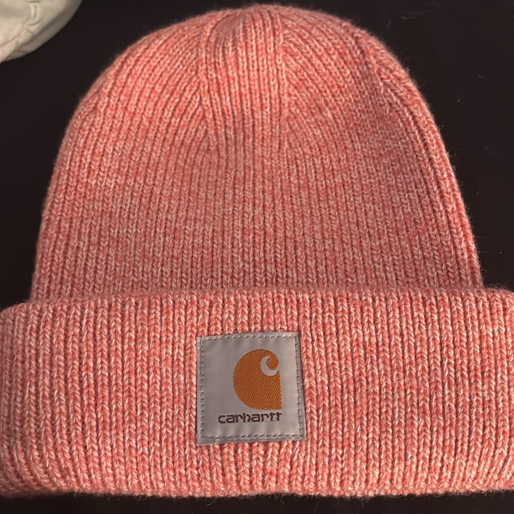 Carhartt Beanie 2/22$!